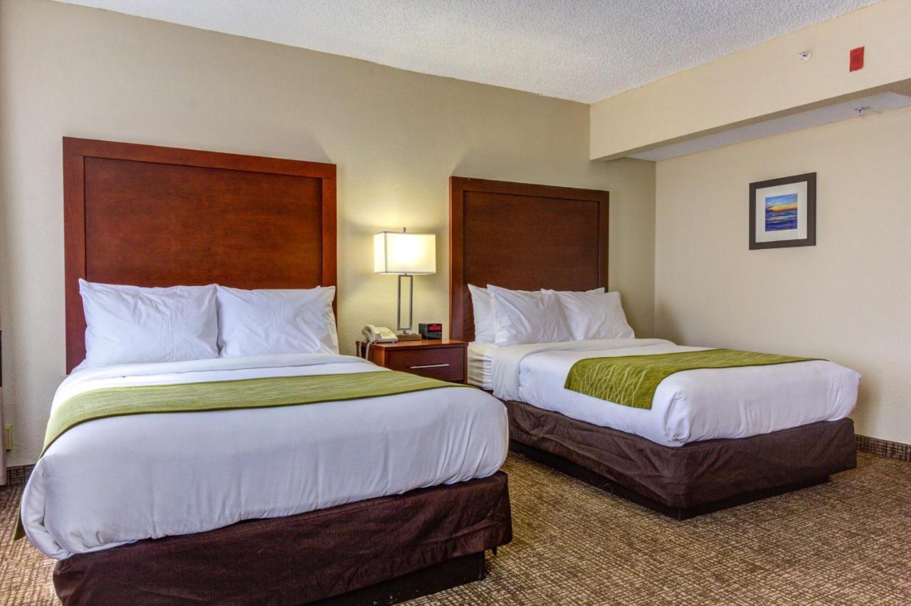 Double Room Two Double Beds Accessible or Non-Smoking or 1st Floor