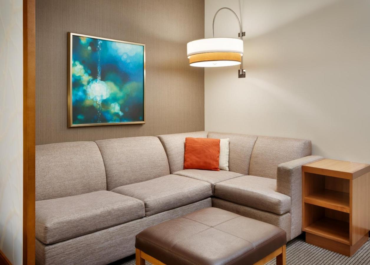 King Room Sofa Bed