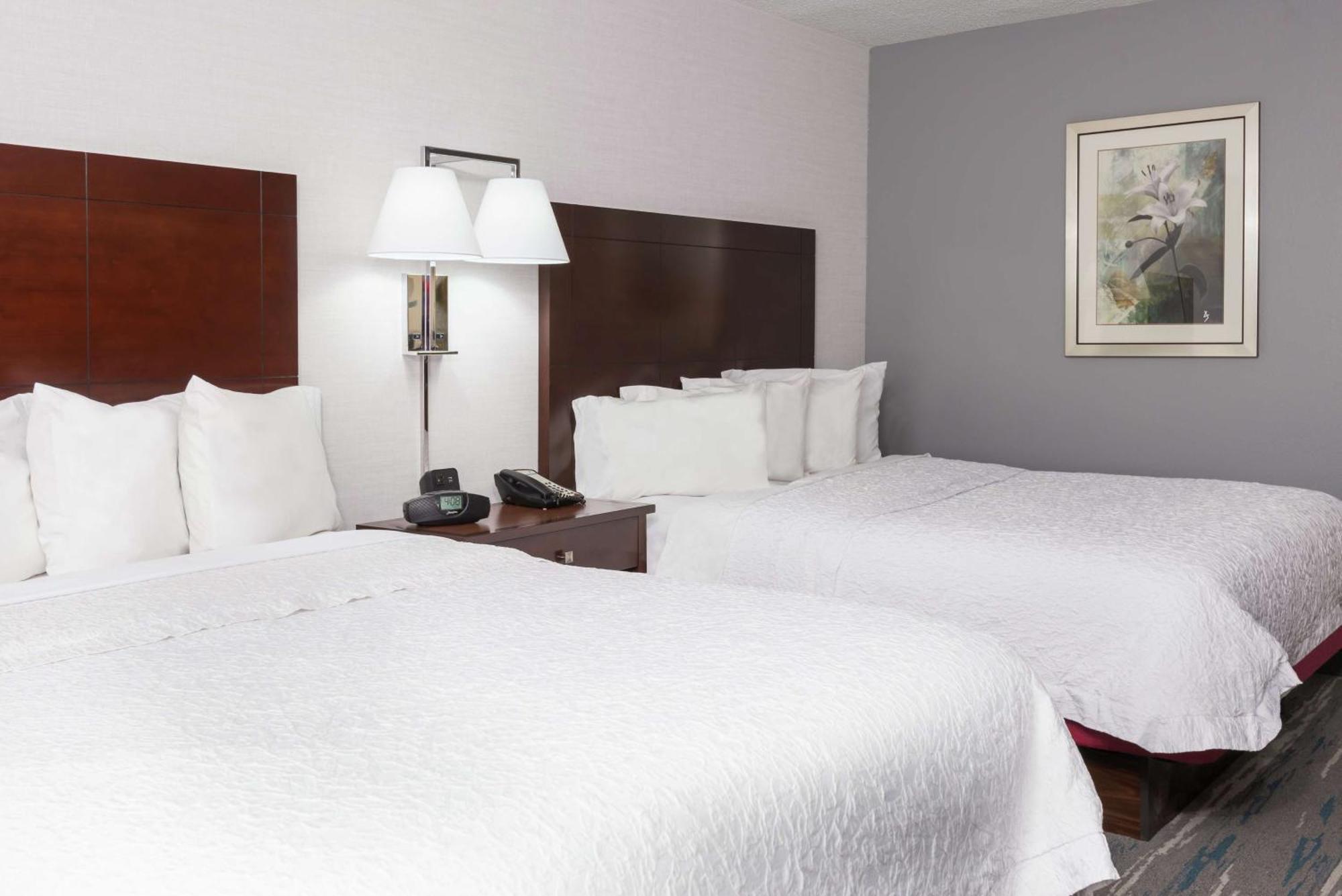 Queen Room with Two Queen Beds - Hearing Access/Non-Smoking,1552123162:JPEG