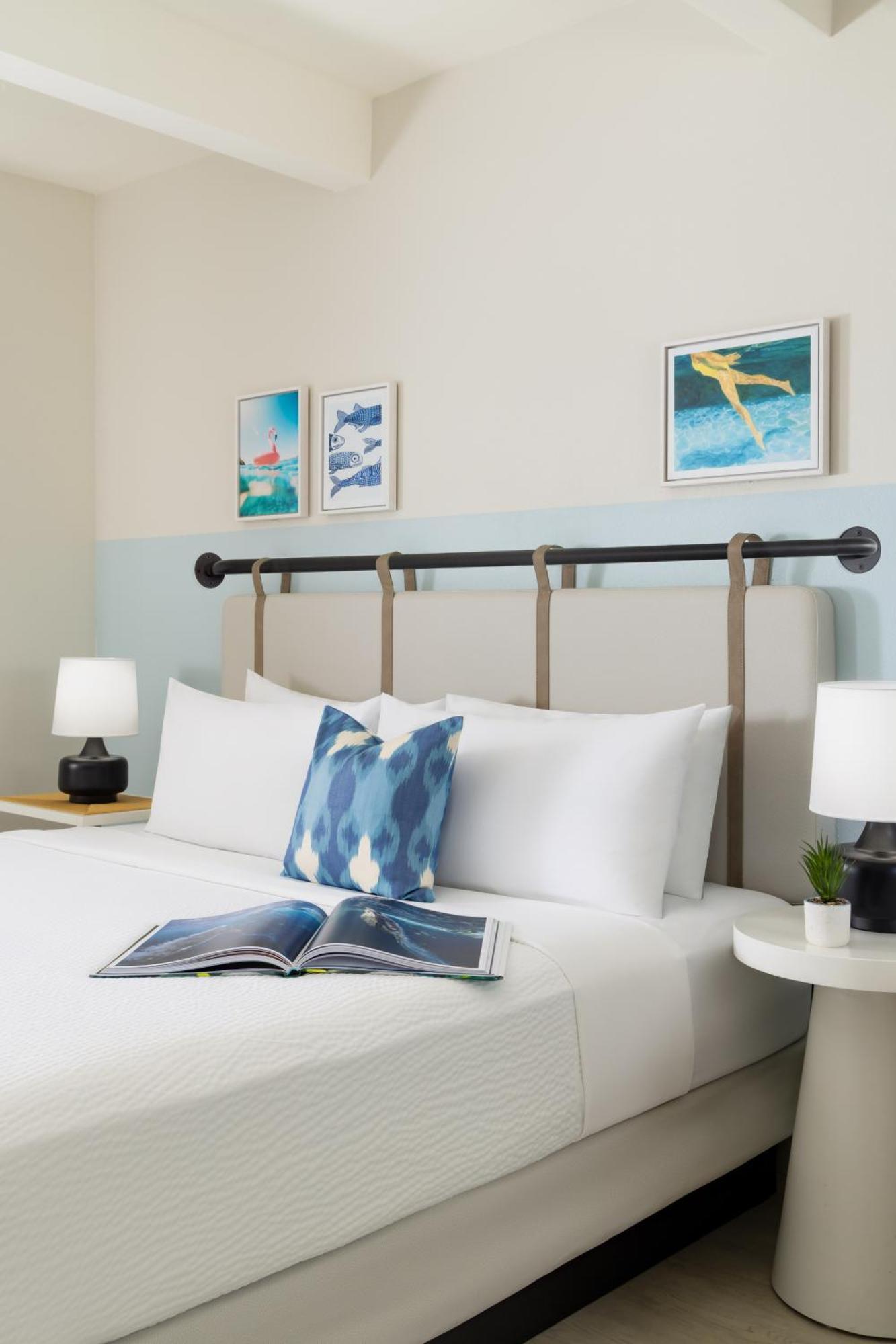 One Queen Bed