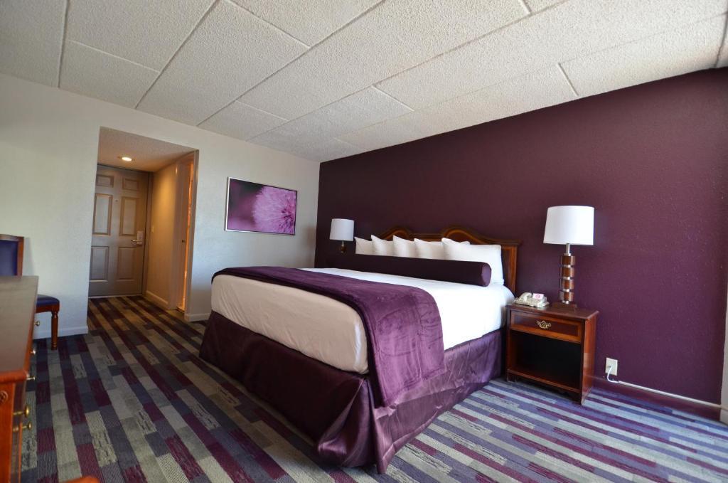 King Room,698767632:JPEG