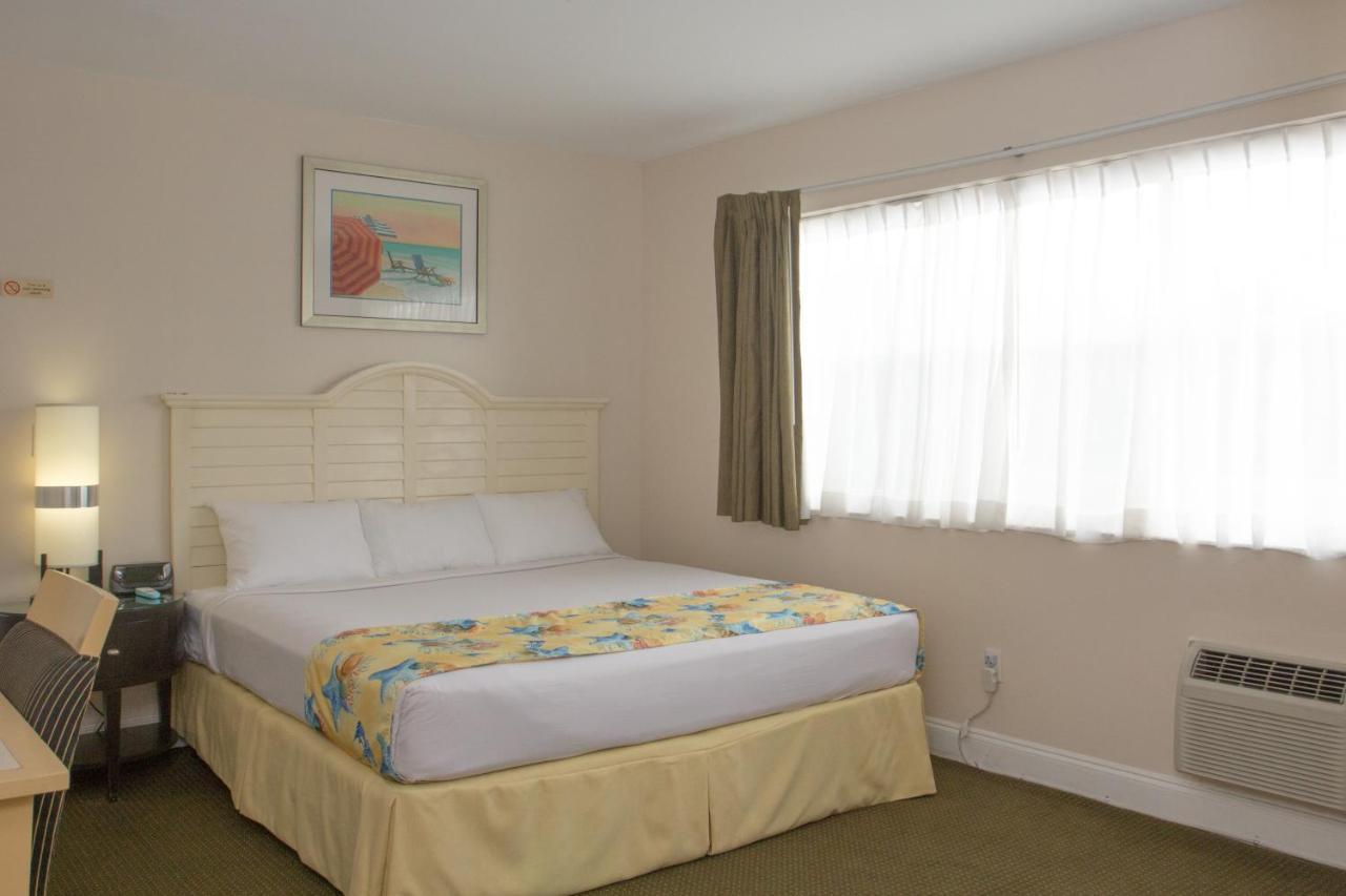 Quarto Superior com Cama King-size e Cozinha Compacta - Estacionamento Gratuito