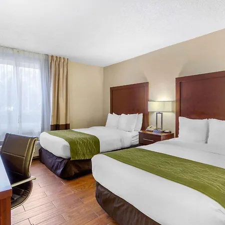 Comfort Inn St Petersburg North-2
