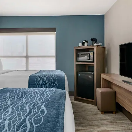 Comfort Inn & Suites Downtown Brickell-Port Of Miami-3