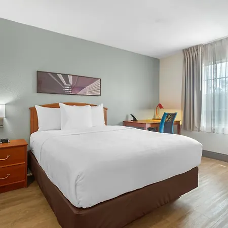 Mainstay Suites Tampa Moffitt-Usf-3