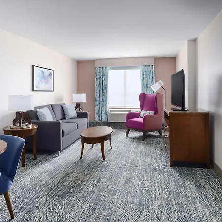 Hilton Garden Inn Orlando At Seaworld-3