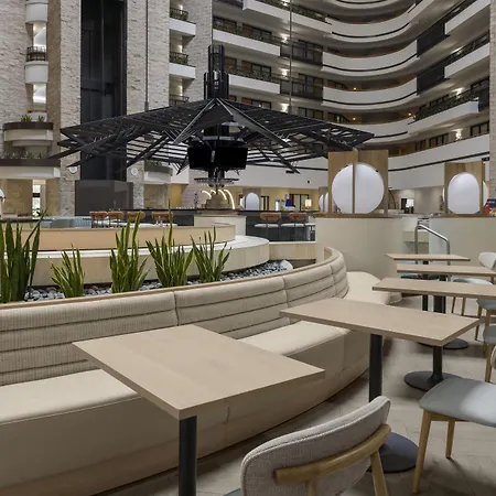 Embassy Suites By Hilton Orlando International Drive Icon Park-3