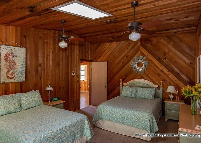 Riverfront Treetop Bungalow