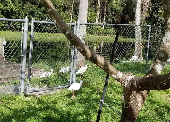 Bonita Oasis