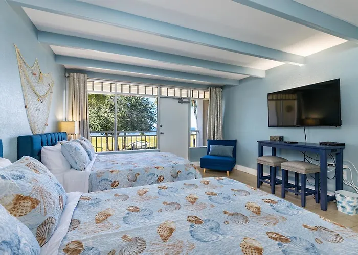 Come Stay Where The Dolphins Play!