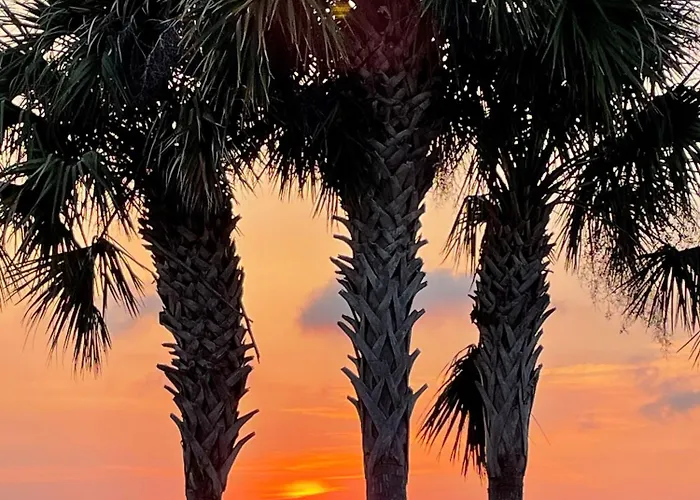 Ocean Grove Rv Resort St Augustine