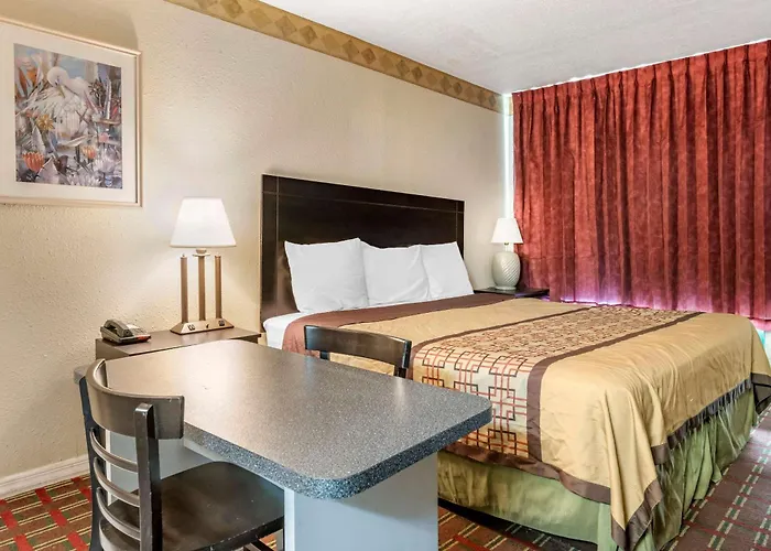 Rodeway Inn New Port Richey