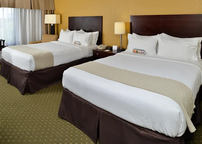 Holiday Inn St. Petersburg N - Clearwater By Ihg