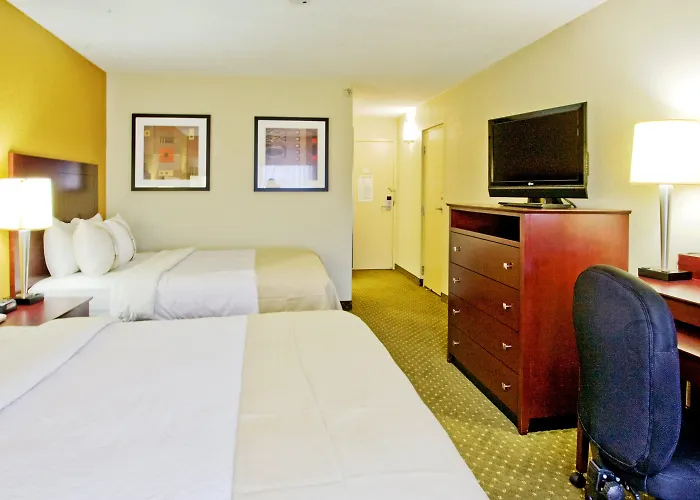 Holiday Inn St. Petersburg N - Clearwater By Ihg