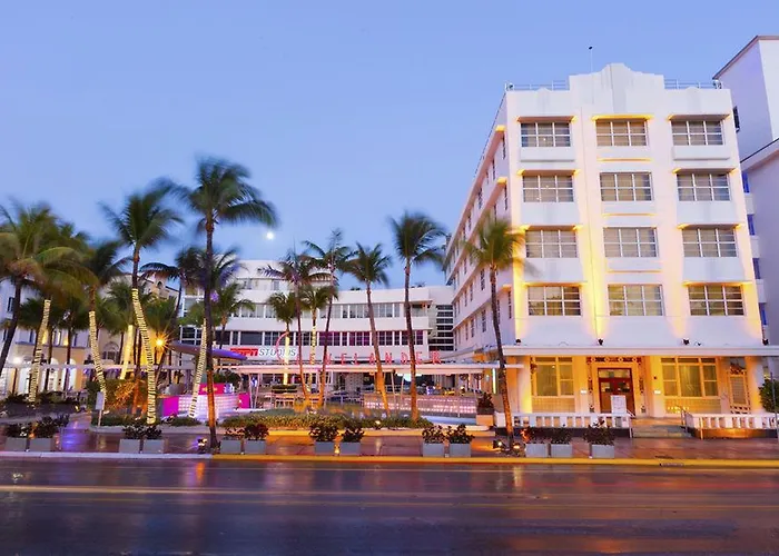 Miami Beach Dog Friendly Lodging and Hotels