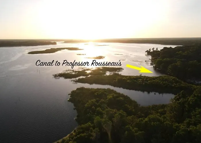 Professor Rousseau'S Mermaid Lagoon