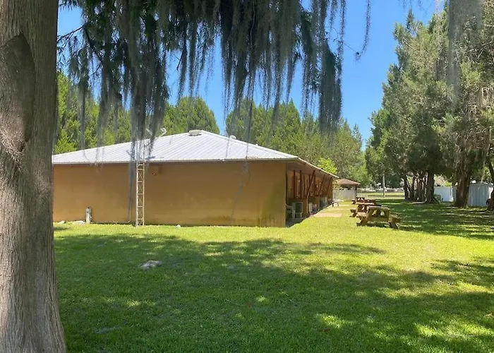 Professor Rousseau'S Manatee Bay