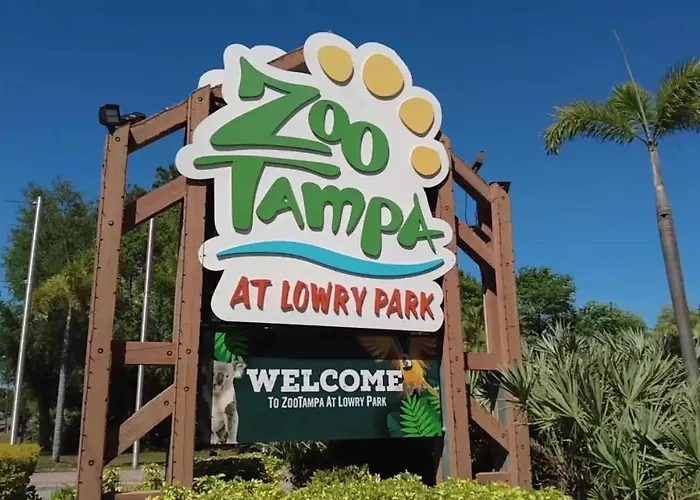 Tropical Casita In Tampa Near Airport And Raymond James Stadium
