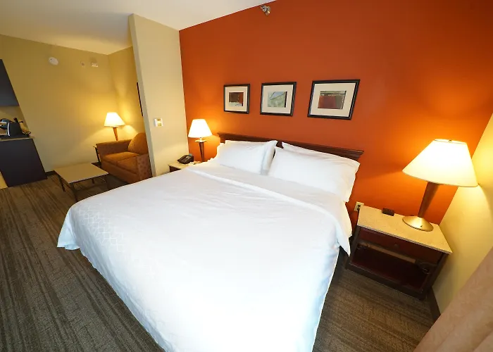 Holiday Inn Express & Suites Tampa Northwest-Oldsmar By Ihg