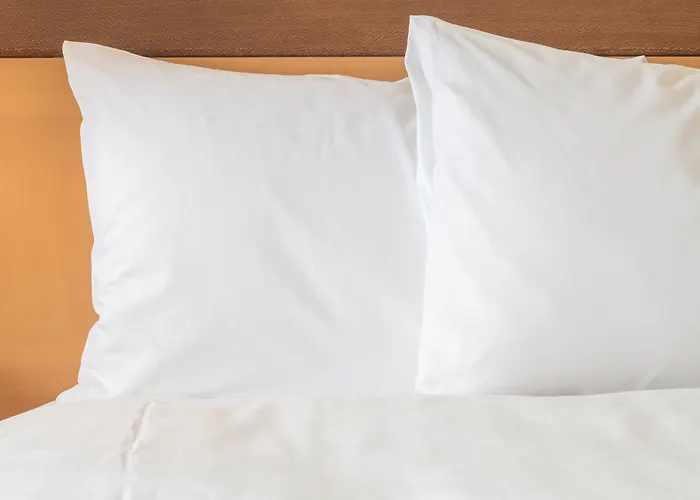 Holiday Inn Express & Suites Lantana By Ihg