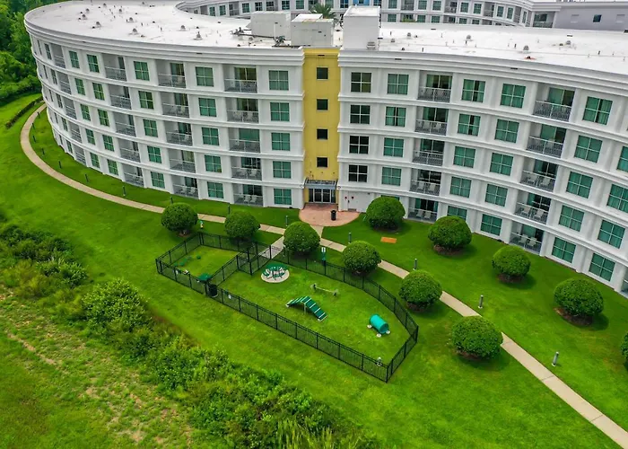 Pet Friendly In Orlando Area Near Disney And Espn Center