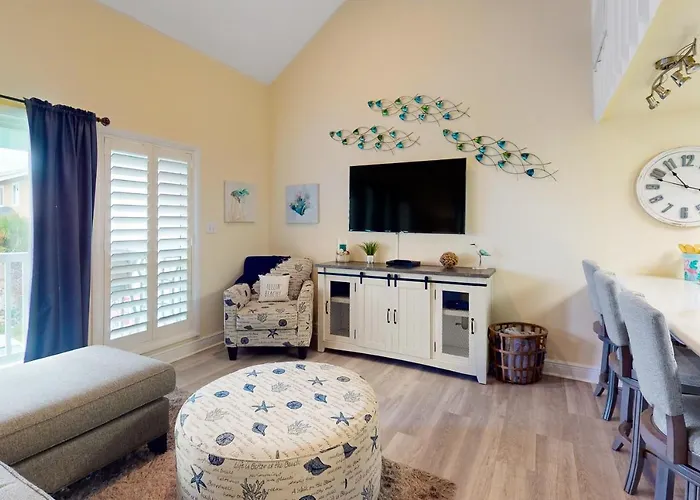 Sand Dollar W202