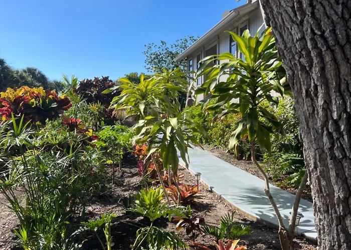 Tropical Bay House