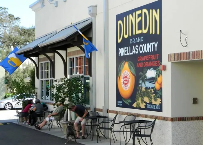 Overlooking Downtown Dunedin Two Bedroom Apartment No Kids, No Pets