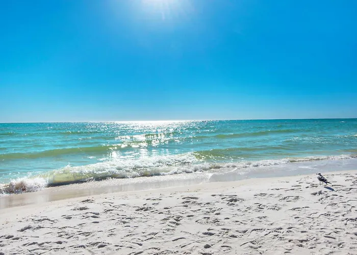 Shores Of Panama 830