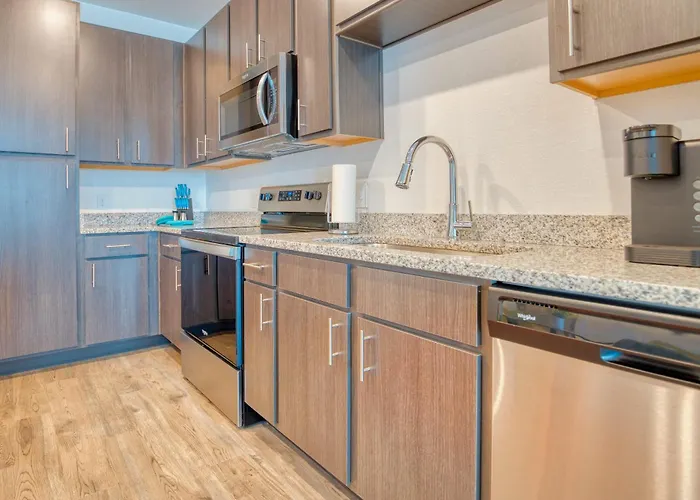 Deluxe One Bedroom Apartment