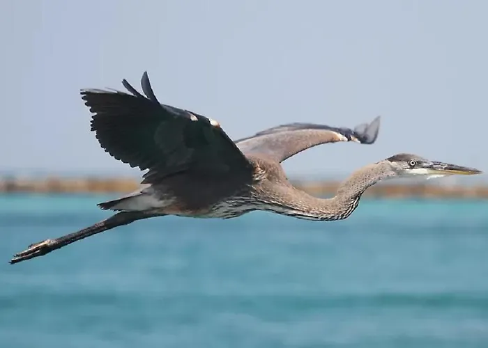 Treasure By The Sound