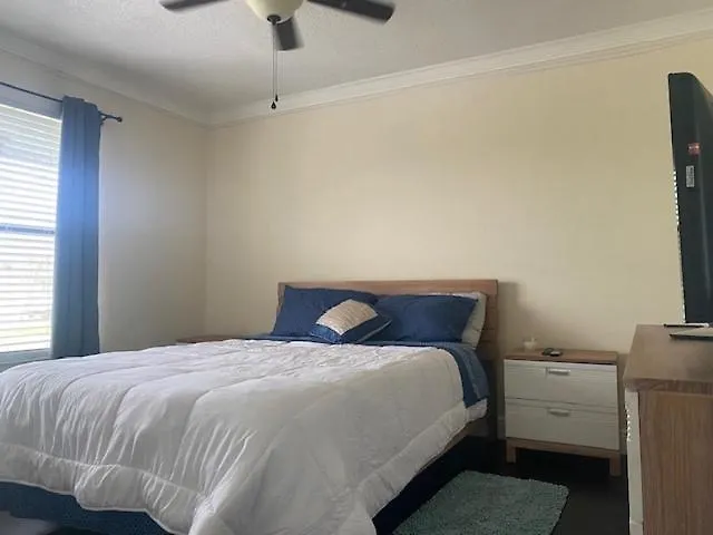 Cozynest2
