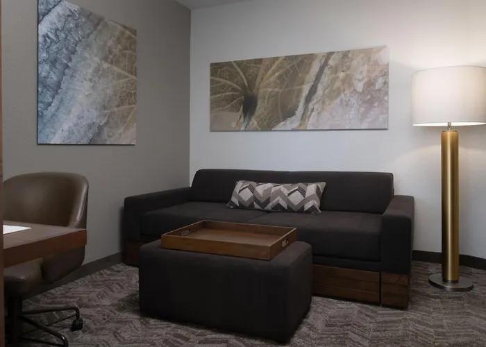 Springhill Suites By Marriott Orlando At Flamingo Crossings Town Center-Western Entrance
