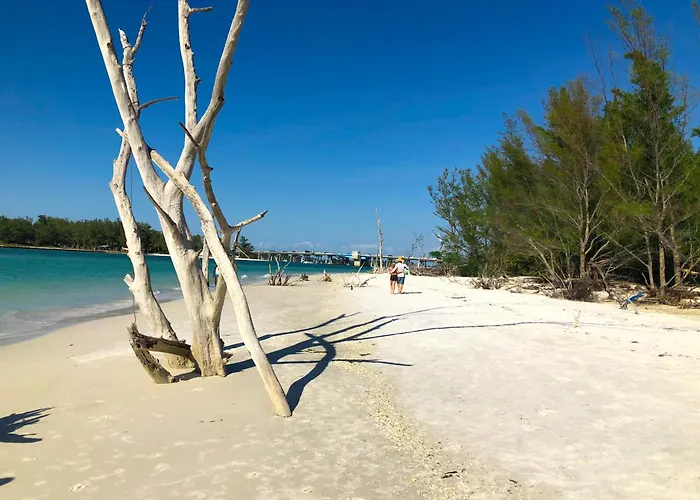 Longboat Key Cedars Beach House-Pet Friendly-2 Minute To The Beach