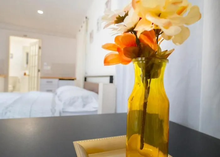 Cozy Apartment Near Busch Gardens Adventure Island And Usf