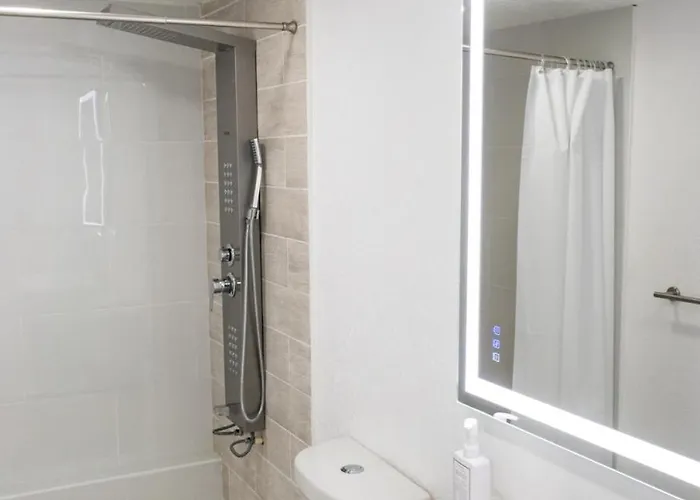 Cozy Apartment Near Busch Gardens Adventure Island And Usf