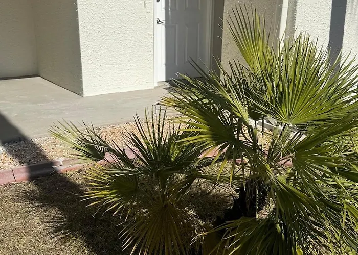 Sunset Harbor Palms 1-108