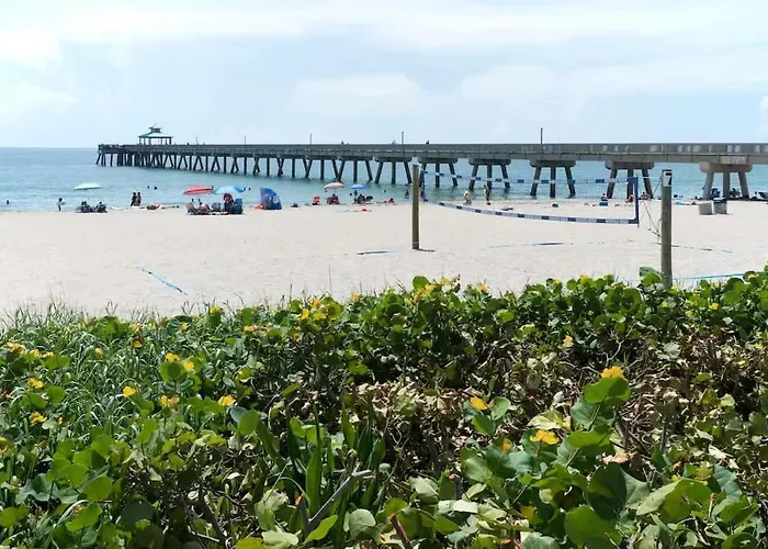 Sunny Beach Studio Walk To Beach
