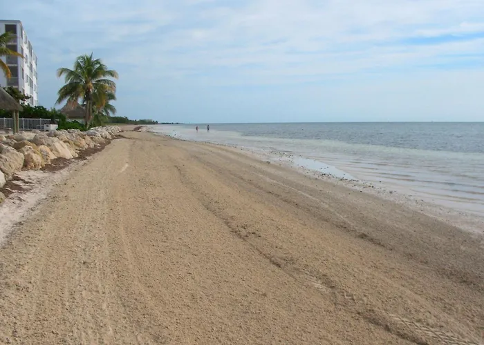 Beachfront Condo On Coco Plum Beach