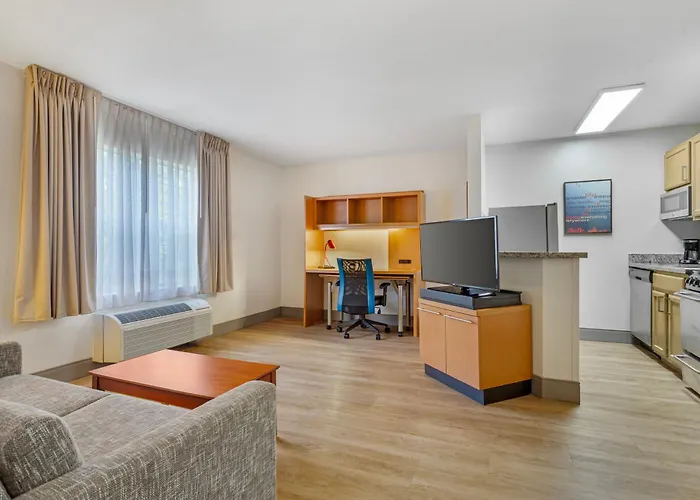 Mainstay Suites Tampa Moffitt-Usf