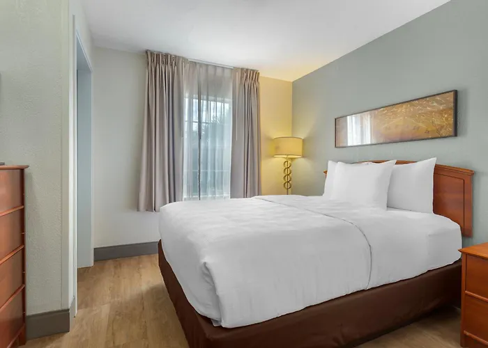 Mainstay Suites Tampa Moffitt-Usf