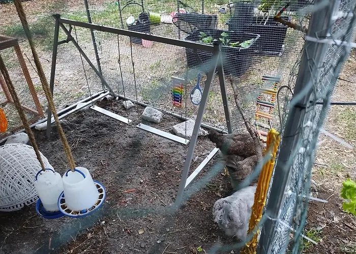 Ranch Style Tiny Home In Backyard With Animals Near Downtown Orlando
