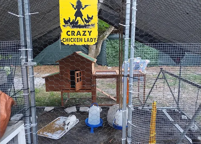 Ranch Style Tiny Home In Backyard With Animals Near Downtown Orlando
