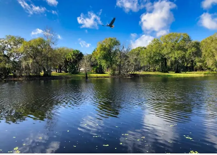 Spacious Home In Tampa Area & Wesley Chapel