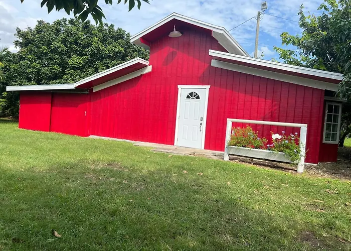 Tiny Farm Retreat Near Miami, Nature And Animal Experience