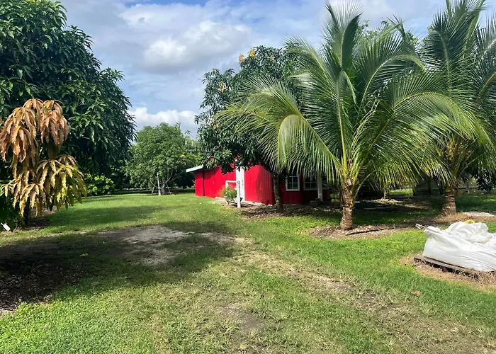 Tiny Farm Retreat Near Miami, Nature And Animal Experience