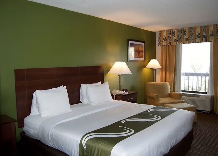 Surestay Hotel By Best Western St Pete Clearwater Airport