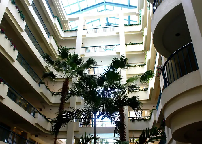 Hilton Boca Raton Suites - Newly Renovated