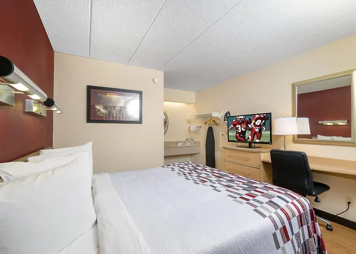 Red Roof Inn Tampa Fairgrounds - Casino