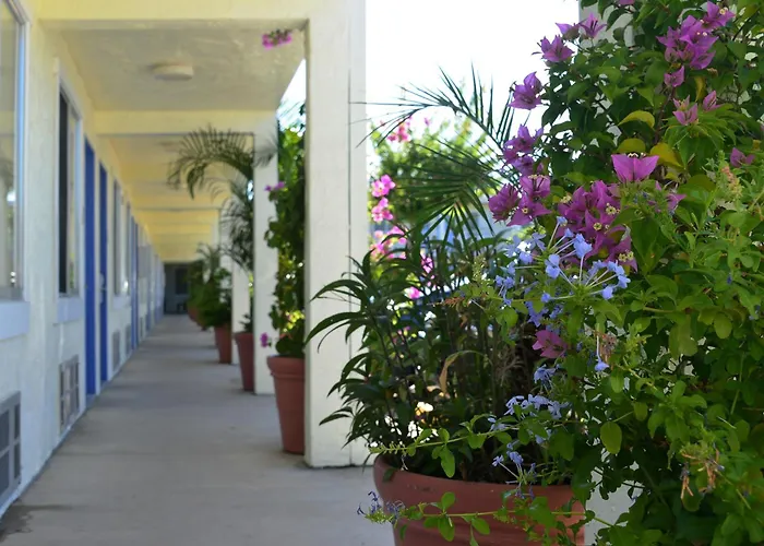 Americas Best Value Inn Bradenton-Sarasota